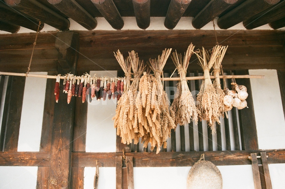 시골집,옥수수,옛날,옛날느낌,시골느낌,따뜻함,시골,마을,풍경,landscape,country,rural,town
