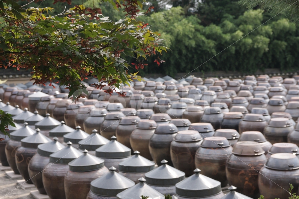장독대,항아리,전통,풍습,고추장,된장,간장,장맛,pot,jar,crock,tradition,custom,한국전통,한국문화,korean traditional,korean culture