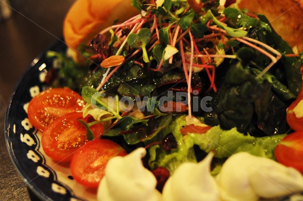 샐러드,음식,요리,채소,정물,음식,식재료,요리,food,cook,meal,dishes,food reserves,채소,야채,vegetables