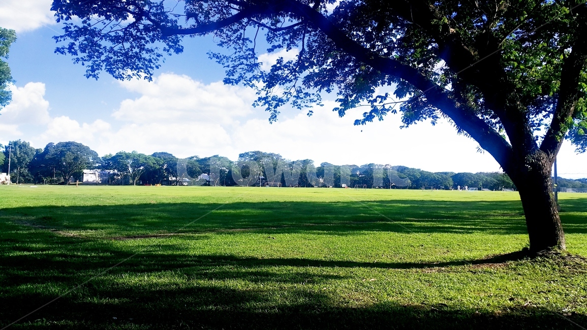 공원,잔디밭,운동장,산책길,맑은날,자연,풍경,nature,landscape,field,들,grass,잔디,plant,식물,outdoors,옥외,grassland,목초지