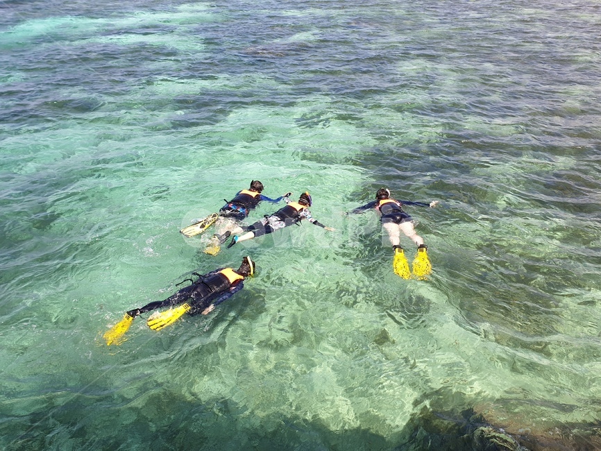잠수부,diving,스노클링,다이빙,스포츠,워터스포츠,스노쿨링