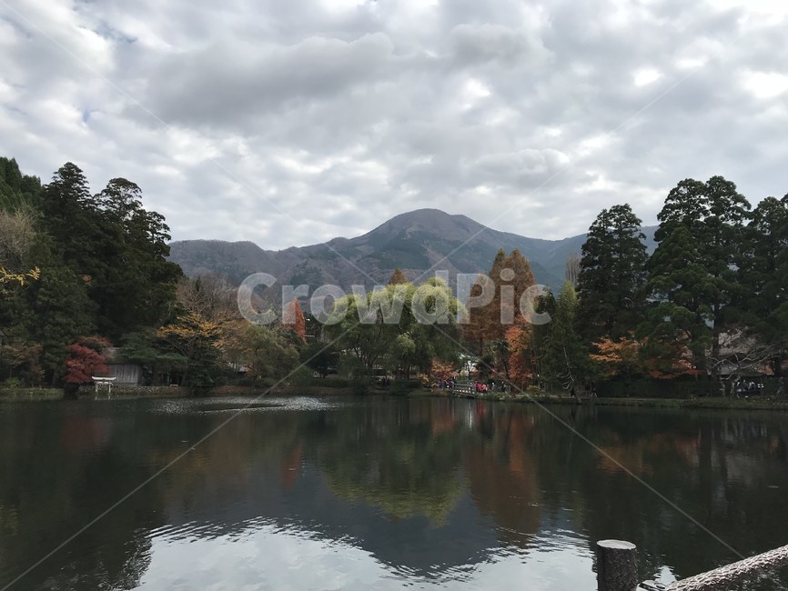 긴린코호수,긴린코,유후인,호수,후쿠오카,자연,풍경,숲,울창한,japan,일본,흐린날