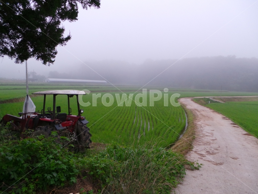 농촌,시골,새벽,농촌길,농기계,시골,마을,풍경,landscape,country,rural,town,산업,industry,industrial,농업,농사,agriculture,farming,farming industry