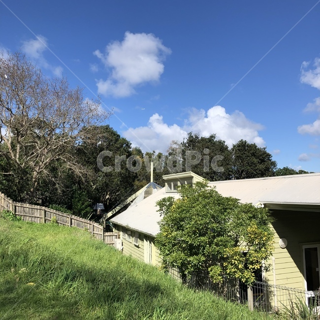 자연,옥외,농촌,nature,outdoors,countryside