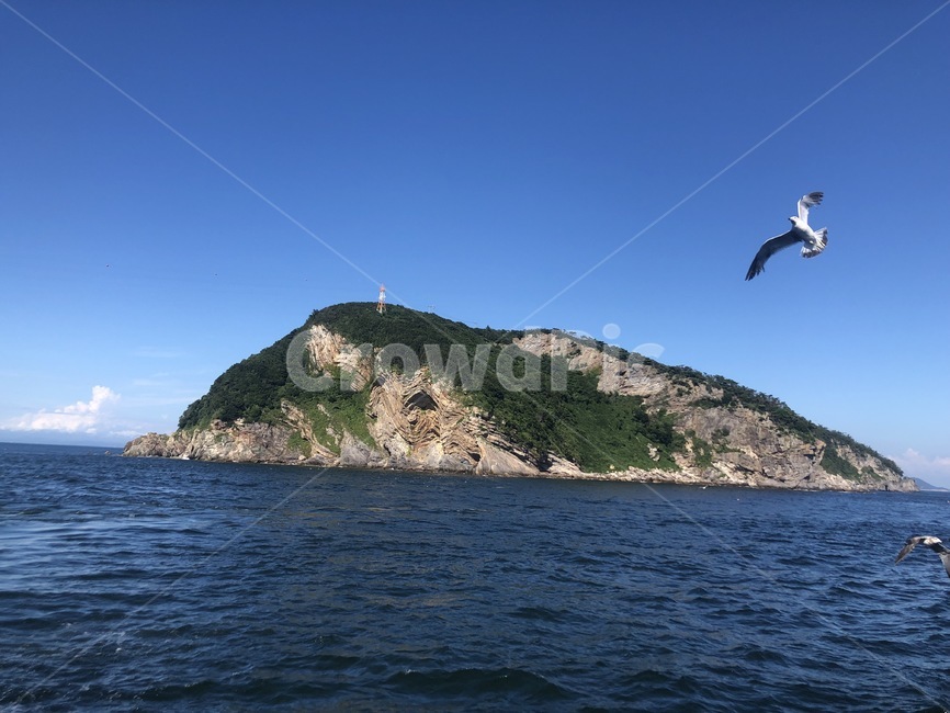섬,갈매기,바다,하늘,풍경
