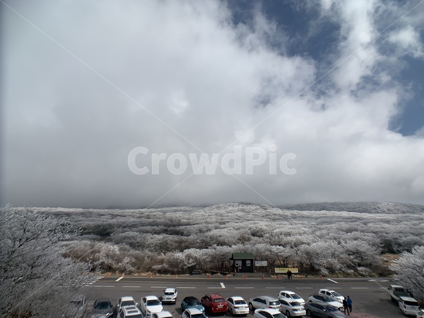 해발1100m,제주한라산,한라산,1100고지,1100고지휴게소,겨울,계절,winter,season,자연,풍경,nature,landscape,한국자연풍경,한국자연경관,korea nature landscape,제주도,jeju,jeju island,automobile,자동차,vehicle,차량,transportation,교통,car,차,person,사람,human,인간