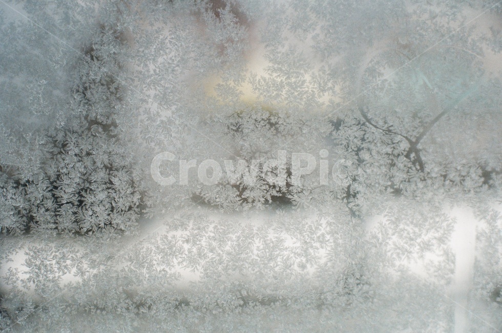 nature,자연,outdoors,옥외,winter,겨울,snow,ice,cool,눈,눈꽃,창문,window,하얀,깨끗한,필름,겨울,계절,winter,season