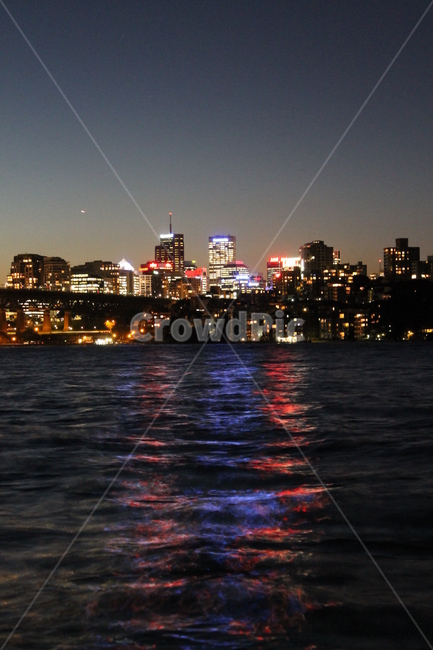 town,metropolis,building,urban,city,officebuilding,reflection,반사,시드니야경,시드니,sydney,sydneynightview,nightscenery,nightscape,야경,밤,풍경,nightscape,night,landscape,도시,city