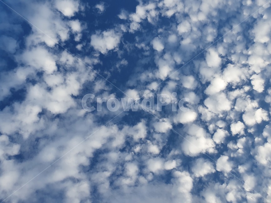 여름,가을,하늘,구름,자연,날씨,cloud,weather,outdoor,sky,자연,풍경,nature,landscape,outdoors,옥외,azure sky,푸른 하늘