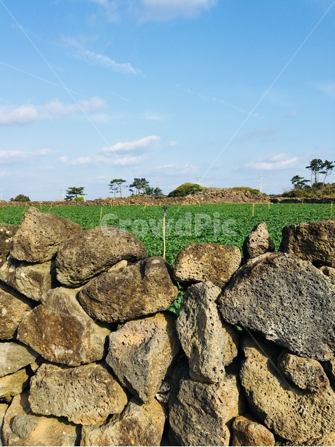 제주도,제주도풍경,제주도돌,제주하늘,제주,자연,풍경,nature,landscape,제주도,jeju,jeju island,wall,벽,stone wall,돌담