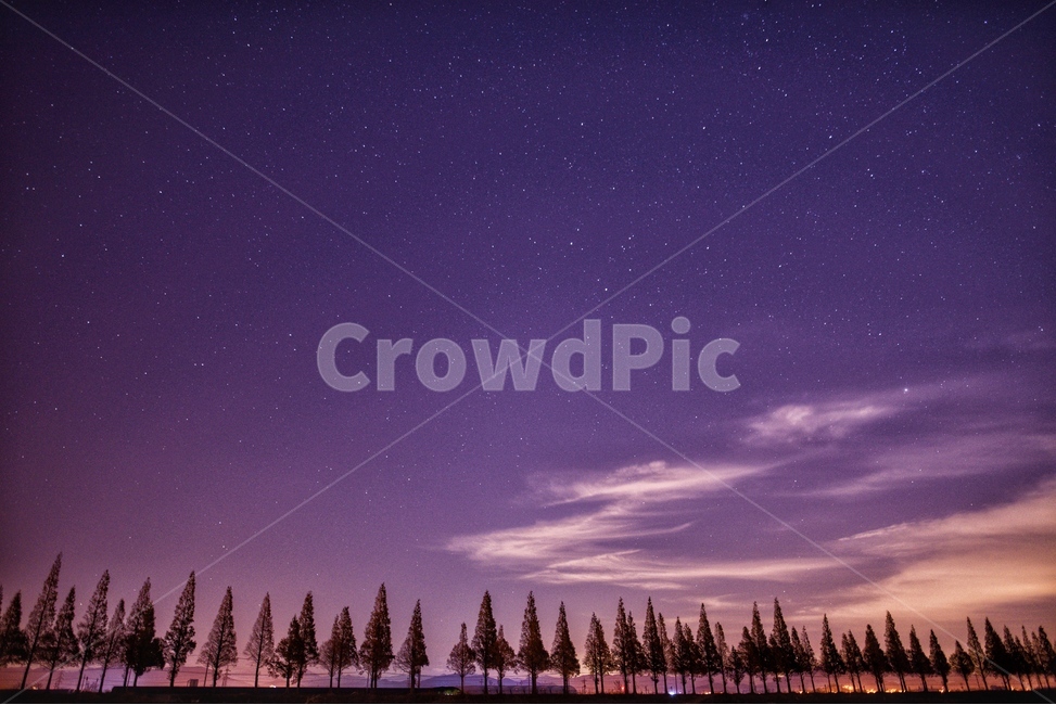 풍경,야경,별,은하수,가로수,자연,풍경,nature,landscape,야경,밤,nightscape,night,outdoors,옥외,universe,우주,astronomy,천문학,outer space,대기권 밖,starry sky,별이 빛나는 하늘,space