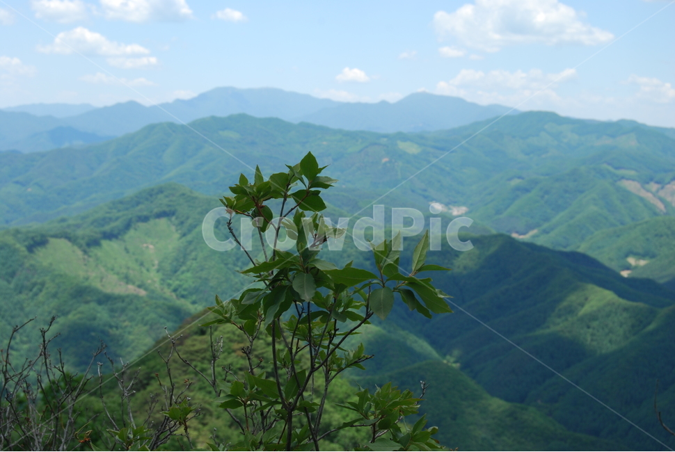 sky,구름,trail,tree,nature,자연,풍경,nature,landscape,outdoors,옥외,mountain range,산맥,mountain,산,hill,언덕,slope,경사