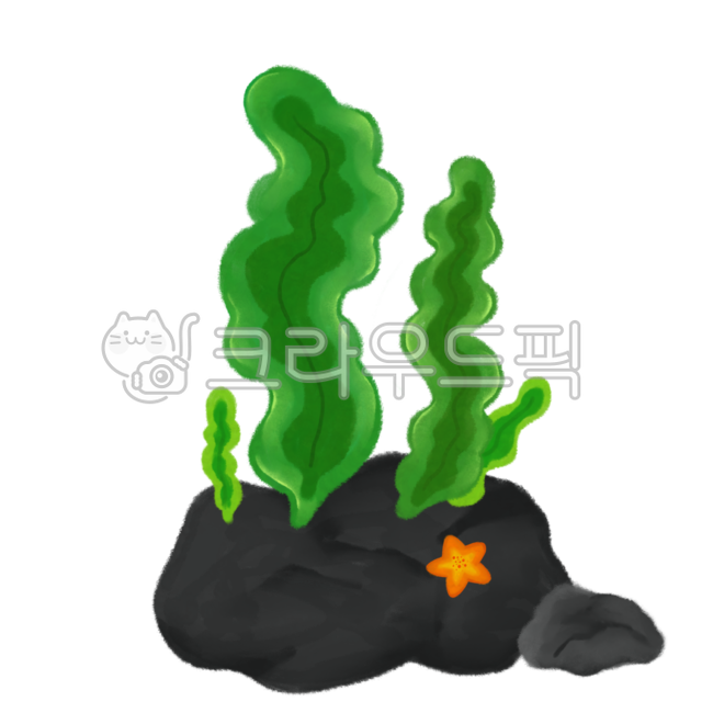 세계바다의날,바다의날,자연,바다,물속,해조류,산호초,다양한,여름,생물,해양생물,바다생물,수생식물,갑각류,환경의날,암초,불가사리,별가사리,녹색,green