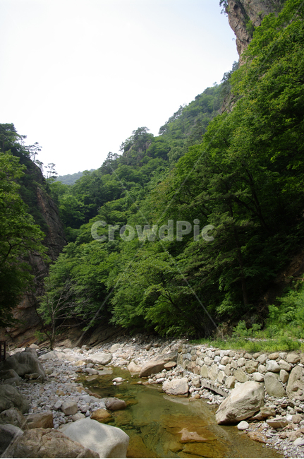산,계곡,바위,암석,풍경,나무,설악산,자연,풍경,nature,landscape,outdoors,옥외,water,물