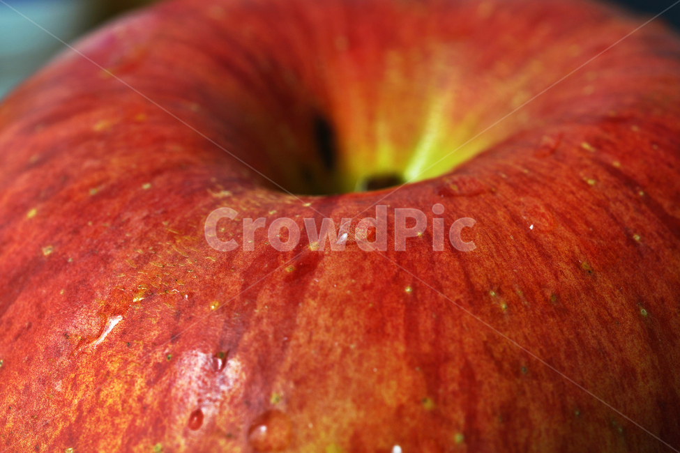 사과,과일,열매,식물,apple,fruit,음식,부사,빨간사과,음식,식재료,요리,food,cook,meal,dishes,food reserves,과일,열매,fruit
