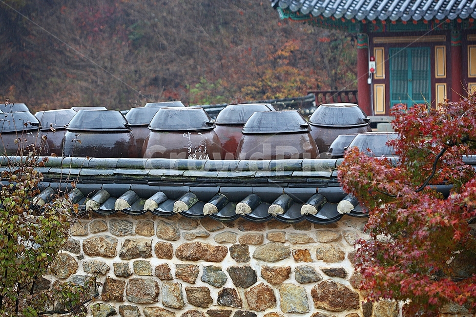 항아리,단지,옹기,단풍,낙엽,가을,자연,풍경,식물,뚜껑,항아리뚜껑,가을,계절,fall,autumn,season,한국전통,한국문화,korean traditional,korean culture