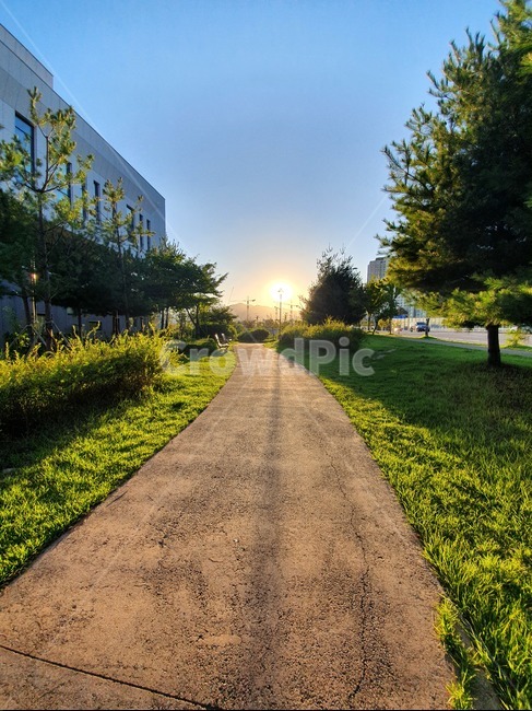 asphalt,아스팔트,tarmac,타맥,road,도로,길,자연,풍경,nature,landscape