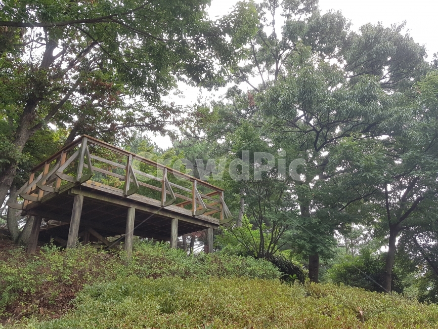 	숲,전망대,나무,forest,observatory,tree,자연,풍경,nature,landscape,식물,plants,나무,trees,wood,housing,주택,building,건물,house,집,cabin,선실