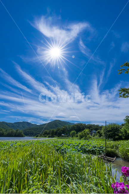 양평,다산생태공원,햇살,여름,하늘,파란하늘,자연,풍경,nature,landscape,outdoors,옥외,grassland,목초지,field,들