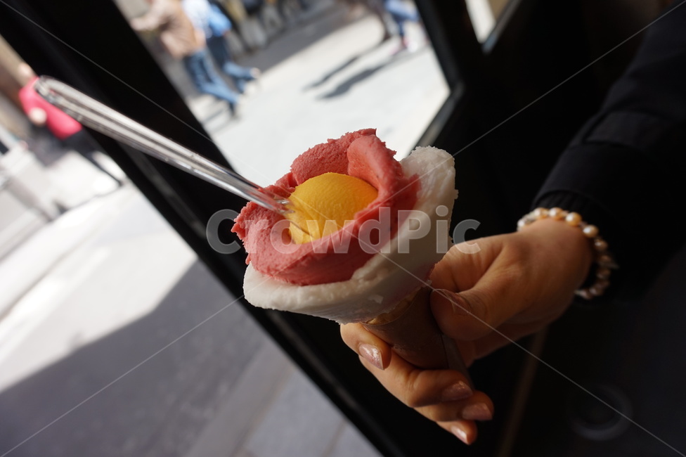 아이스크림,icecream,flower,꽃,디저트,음식,식재료,요리,food,cook,meal,dishes,food reserves,디저트,간식,후식,dessert,snack