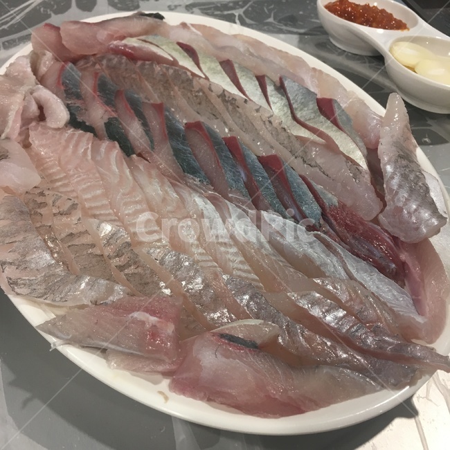 모듬회,광어회,우럭회,초장,생선,fish,물고기,소주,술안주