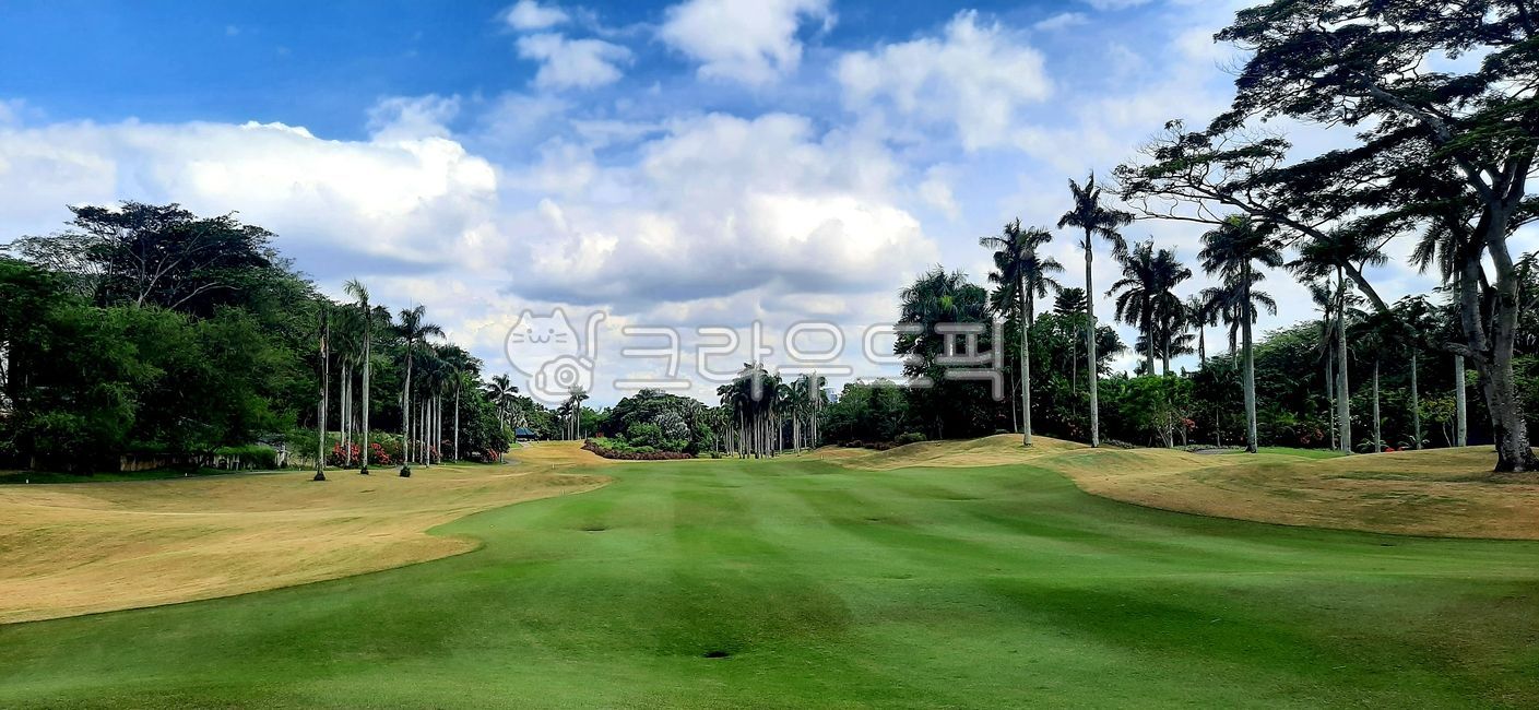field,golf course,fairway,Indonesia Golf,golfcourse,Southeast Asia Golf