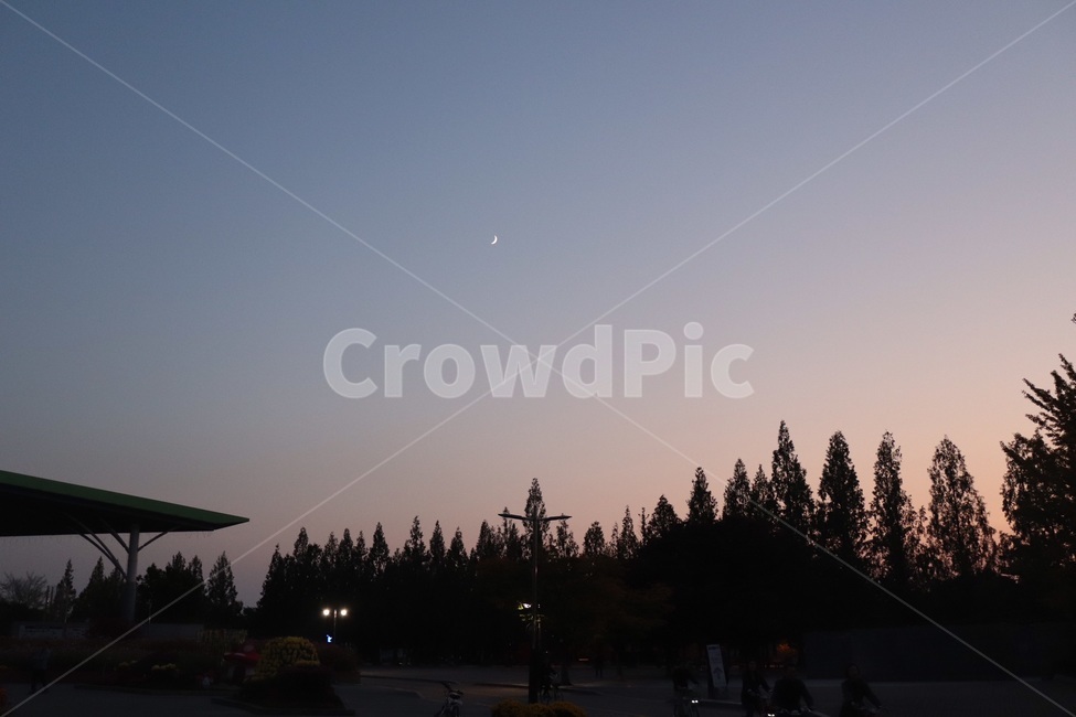 노을,풍경,밤,달,그림자,하늘,밤하늘,자연,풍경,nature,landscape,tree,나무,plant,식물,fir,전나무