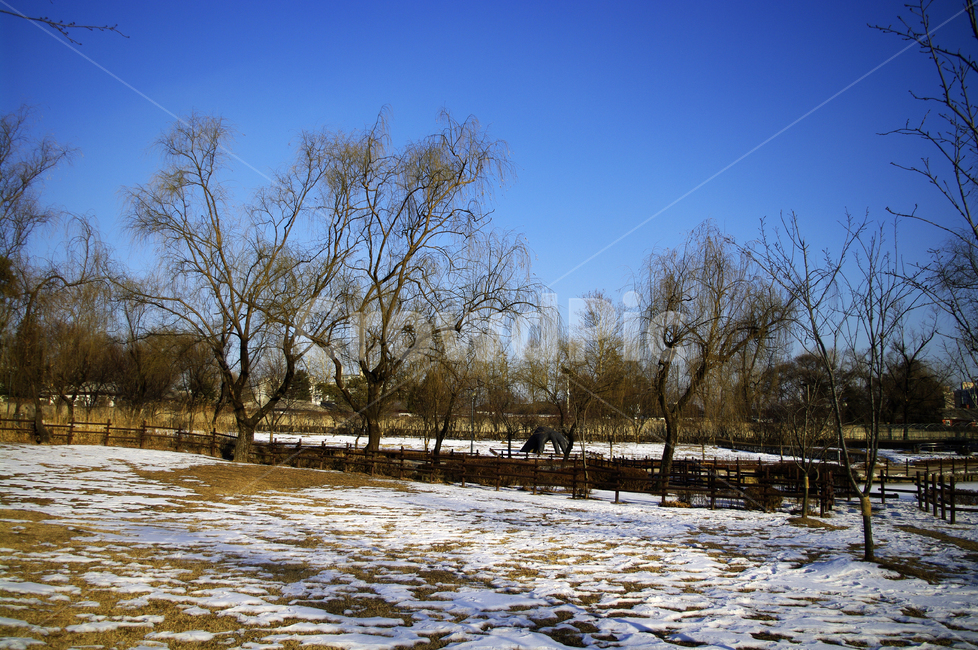 겨울,winter,풍경,설경,눈,나무,식물,plant,하늘,겨울,계절,winter,season,자연,풍경,nature,landscape