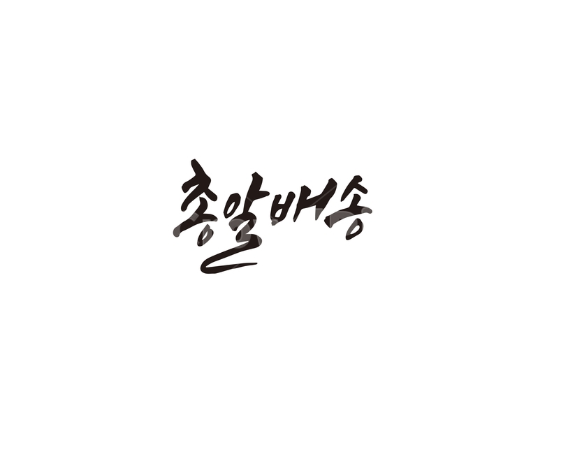 캘리,총알,배송,택배,총알배송,캘리그라피,손글씨,그래픽,일러스트레이션,graphic,illustration,캘리그라피,손글씨,calligraphy
