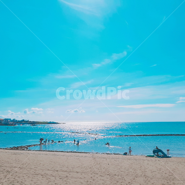 해변,바닷가,제주도,경치,픽테일앱