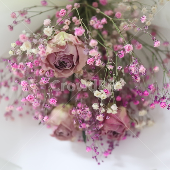 꽃,꽃다발,장미꽃,안개꽃,꽃분홍색,꽃,flower,기념일,축하,anniversary,congratulation,celebrate,celebration