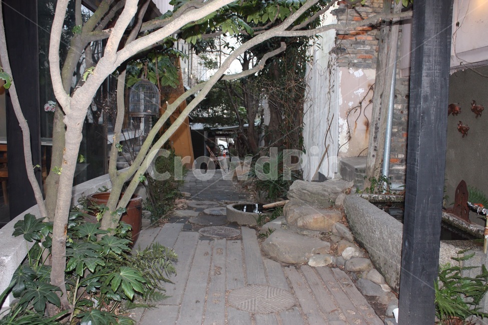 나무,돌,자연,골목,길거리,분위기,골목길,alley,flagstone,판석,outdoors,옥외,slate,슬레이트,patio,안마당