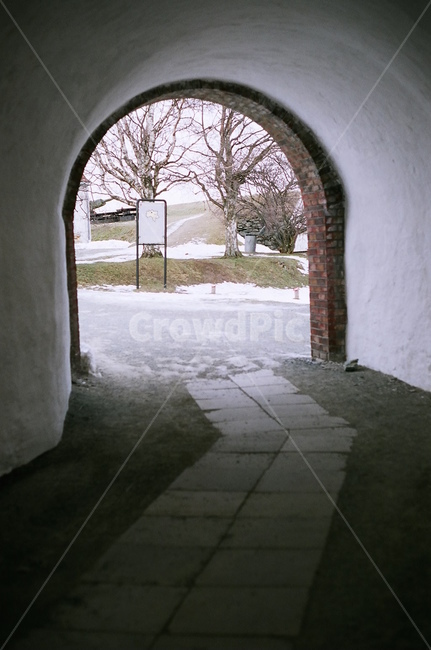 나무,pavement,아치,arch,통로,doorway