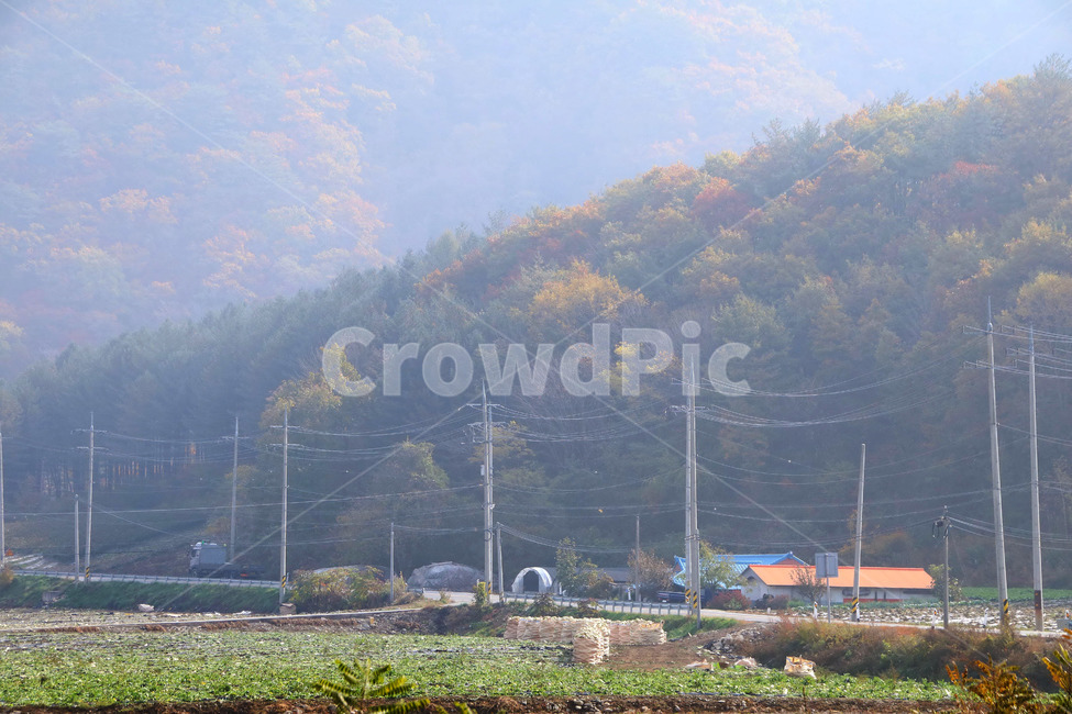 시골,산골,가을풍경,촌집,자연풍경,가을,계절,fall,autumn,season,시골,마을,풍경,landscape,country,rural,town