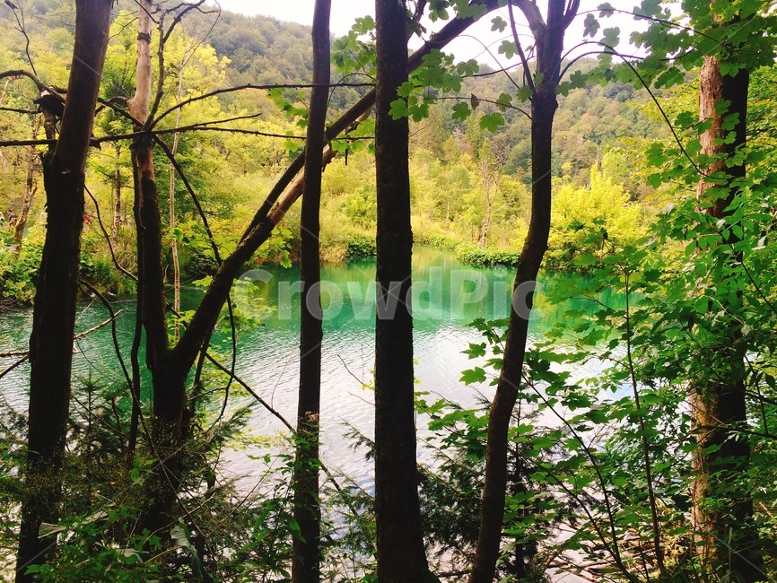 호수,폭포,lake,waterfall,크로아티아,croatia,에메랄드,emerald,자연,nature,국립공원,플리트비체