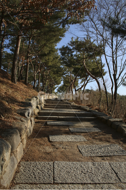 slate,슬레이트,flagstone,판석,나무,tree,산책로,산책
