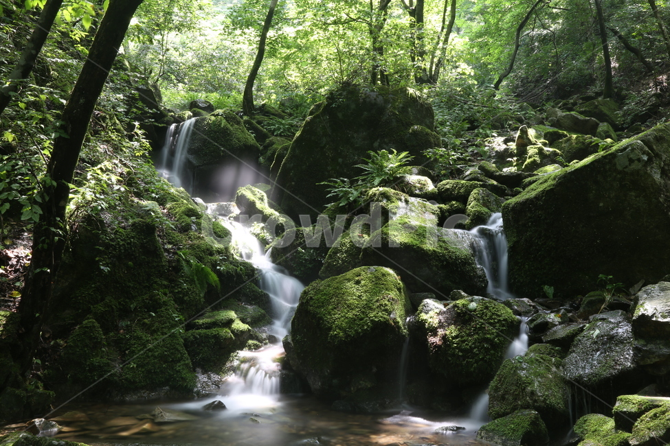 풍경,이끼계곡,만덕산이끼계곡,만덕산,계곡,자연,풍경,nature,landscape,휴식,힐링,rest,relaxation,healing,water,물,outdoors,옥외,river,강,waterfall,폭포