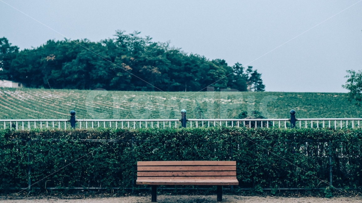나무의자,의자,외로움,자연,풍경,이미지,솔로,고독,자연,풍경,nature,landscape,감성,sensible,feeling,사물,물건,오브젝트,thing,object,matter,bench,벤치