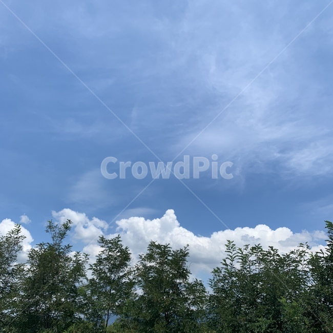 구름,날씨,하늘,배경,cloud,자연,자연,풍경,nature,landscape,weather,outdoors,옥외,cumulus,적운,sky