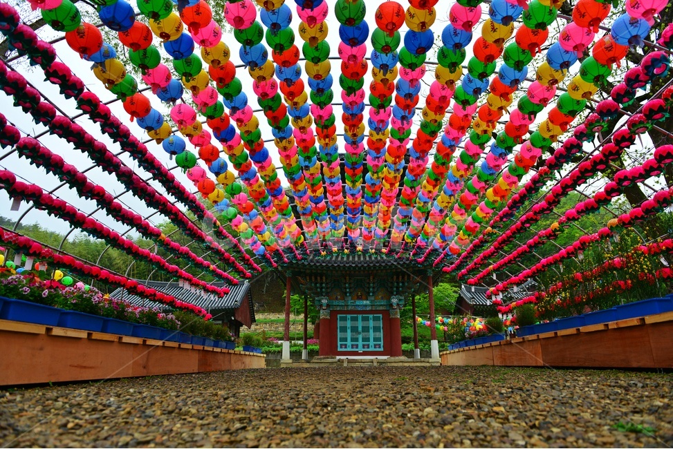walkway,보도,path,통로,화순,쌍봉사,연등,부처님오신날,초파일,불교,사찰,절