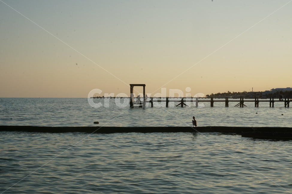 바다,노을,새,고요,잔잔,차분,평화,다리,잔잔함,명상,calm,peace,갈매기,sunset,sea,bridge