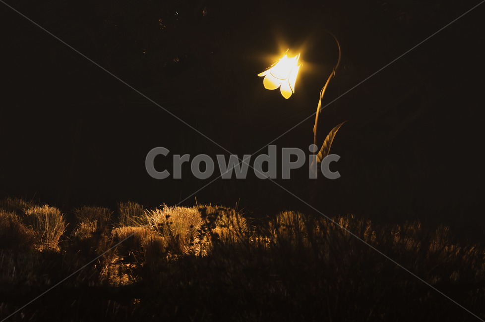 flare,light,빛,lighting,조명