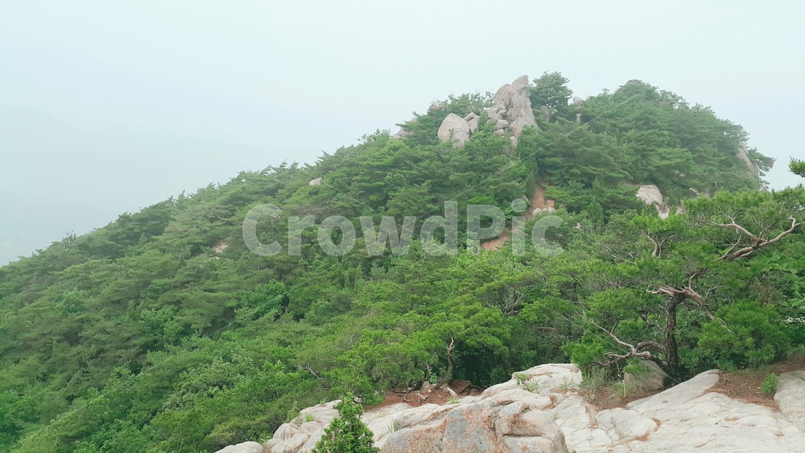 관악산,풍경,관악산모습,등산,관악산등산,자연,풍경,nature,landscape,slope,경사,outdoors,옥외