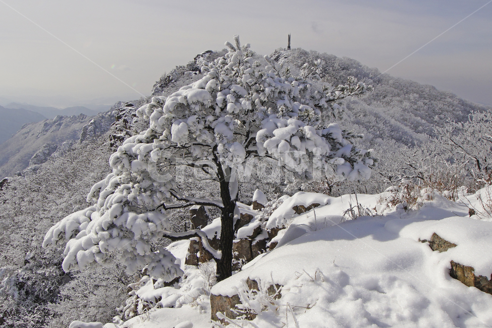 대둔산,설경,겨울,풍경,전라북도,완주,겨울,계절,winter,season,자연,풍경,nature,landscape,한국자연풍경,한국자연경관,korea nature landscape,outdoors,옥외,snow,눈,blizzard,눈보라,storm,폭풍