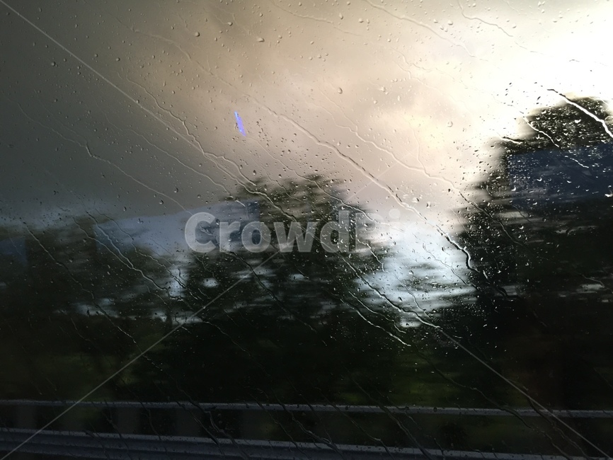 비,나무,창문에빗물,감성,새벽감성,비,비오는날,rain,rainy