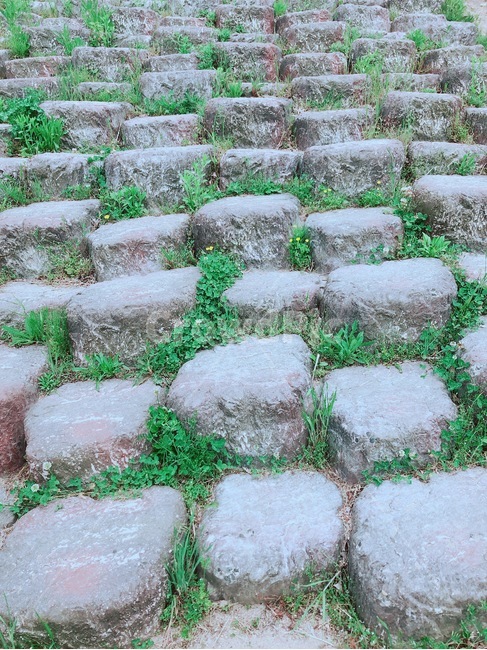 돌계단,돌,계단,봄,풀