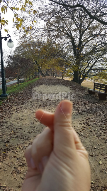 하트,손,거리,산책,길,나무,낙엽,사랑,가을,벤치,바닥,ground