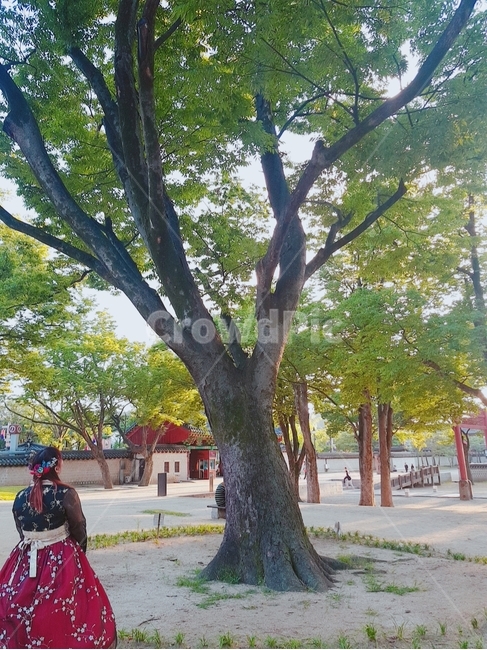 한복,전주한옥마을,뒷모습,공원,hanbok,koreantraditionalclothes,park
