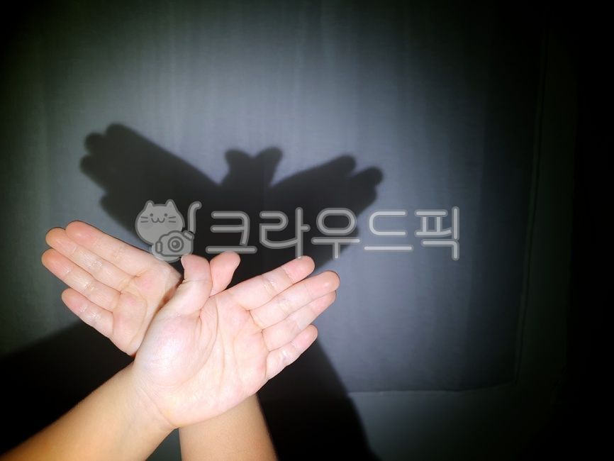 손,그림자,아이손,새,hand,shadow,hands,bird
