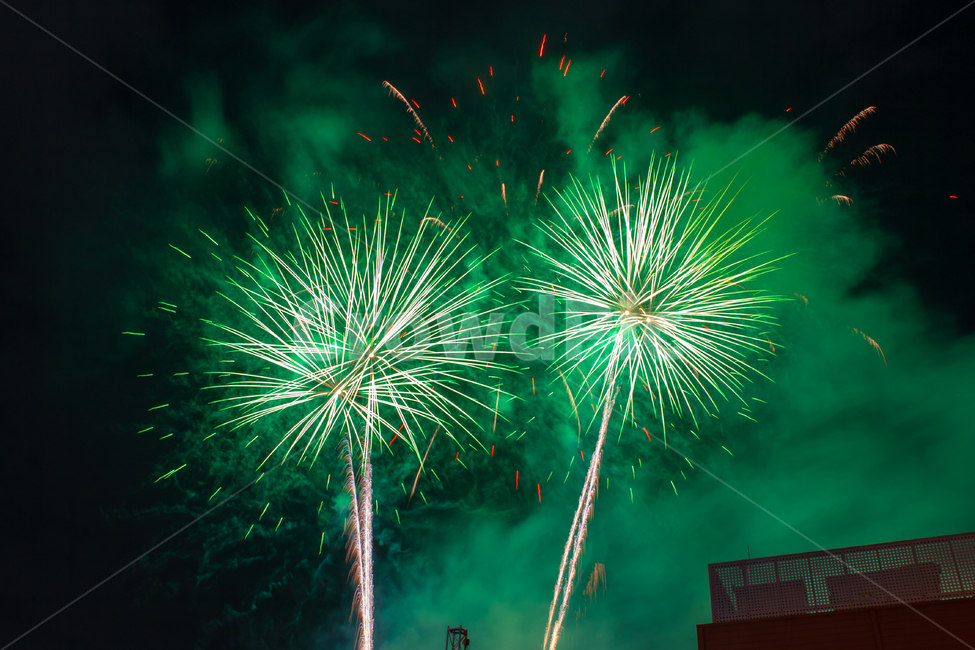 밤,야경,불꽃놀이,밤하늘,빛,야경,밤,풍경,nightscape,night,landscape,축제,행사,festival,carnival,event,색깔,색상,색채,색감,color sense,color sensitivity,feeling of color,nature,자연,outdoors,옥외